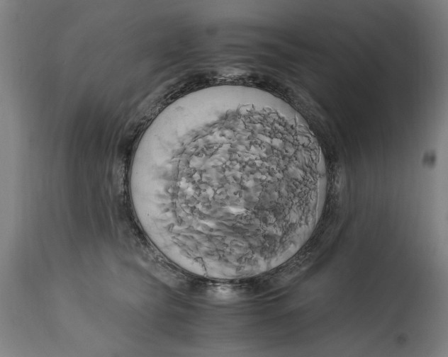 X0000114700565200911181319