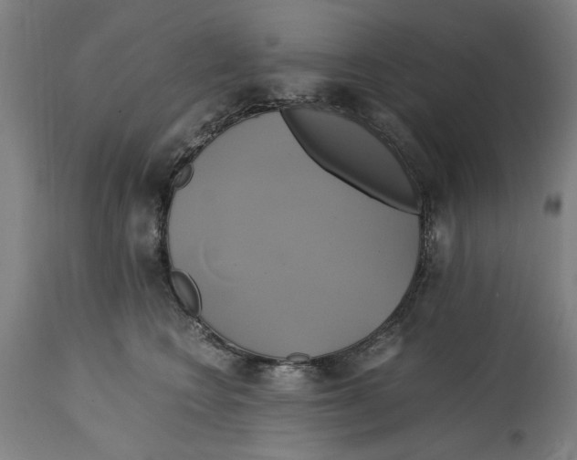 X0000114700566200911181319