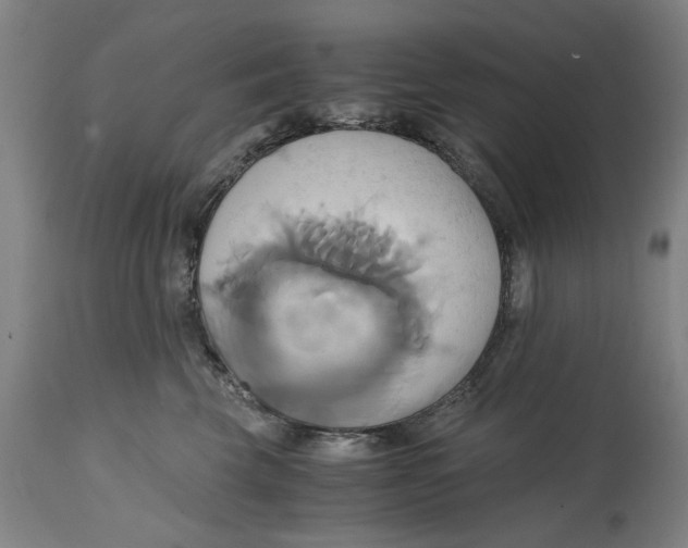 X0000114700569200911181320