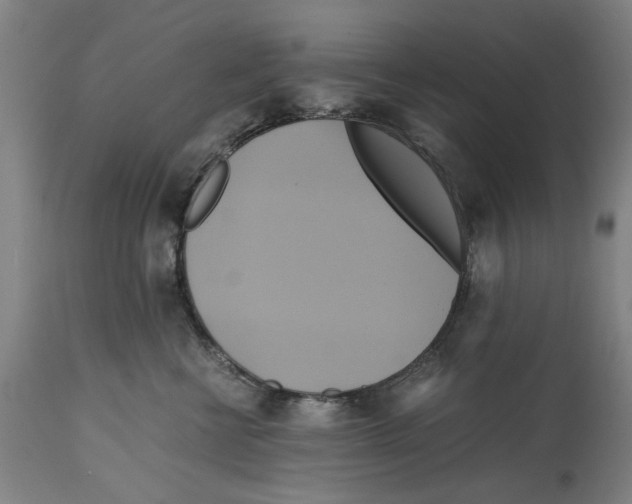 X0000114700570200911181320