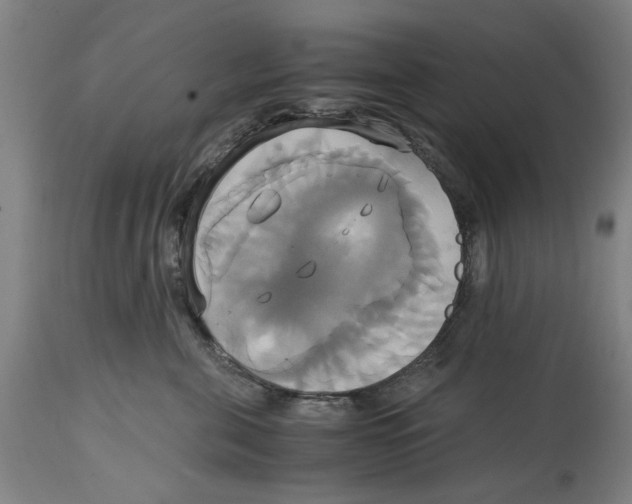 X0000114700571200911181320