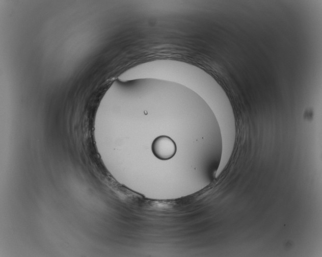 X0000114700573200911181320