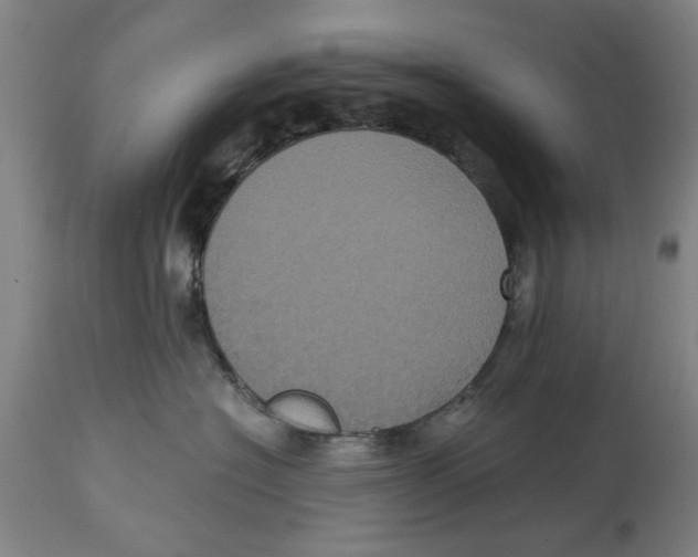 X0000114700574200911181320