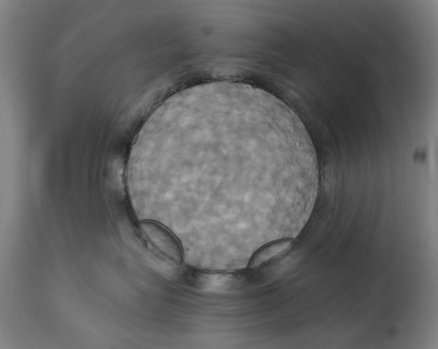 X0000114700575200911181320