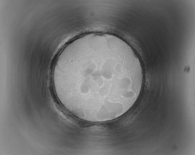 X0000114700578200911181319