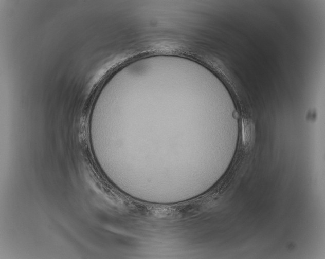 X0000114700579200911181319