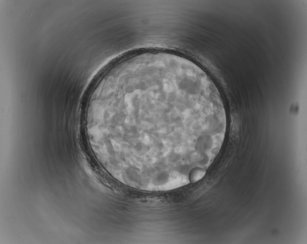 X0000114700580200911181319