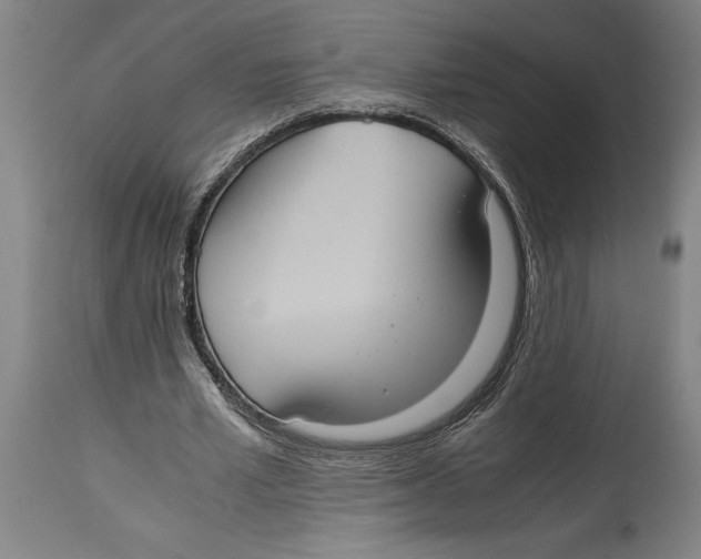 X0000114700581200911181319