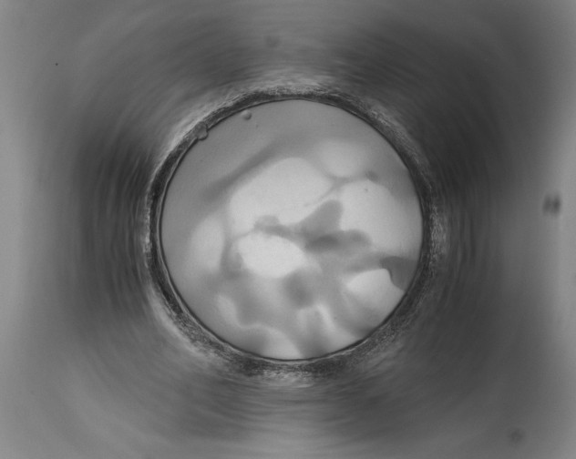 X0000114700582200911181319