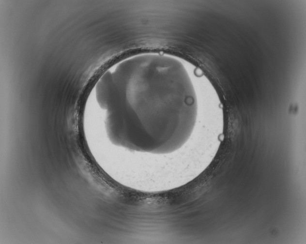 X0000114700584200911181319