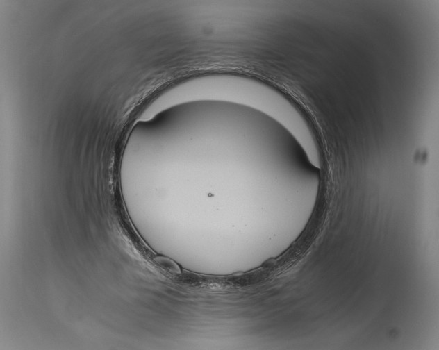 X0000114700585200911181319