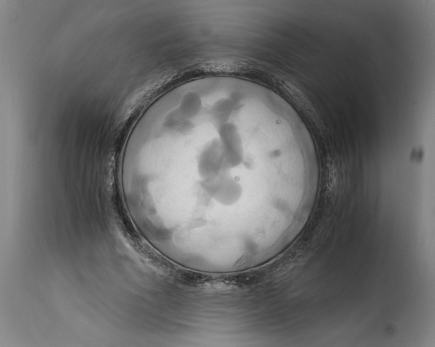 X0000114700586200911181319