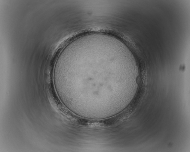 X0000114700587200911181319