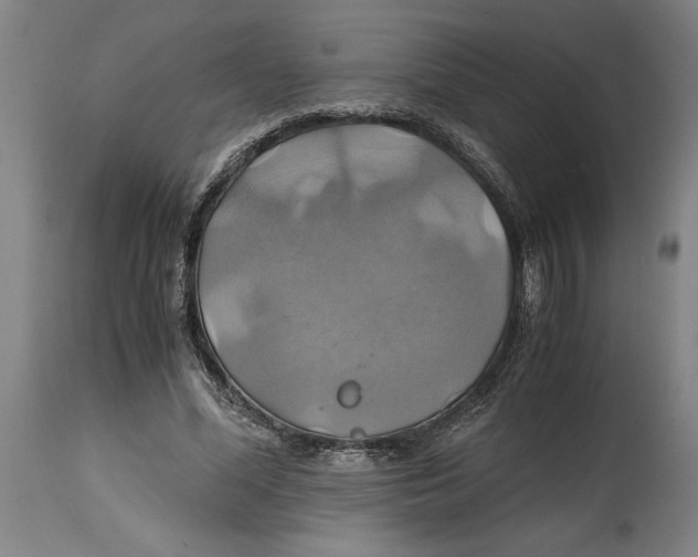 X0000114700588200911181319