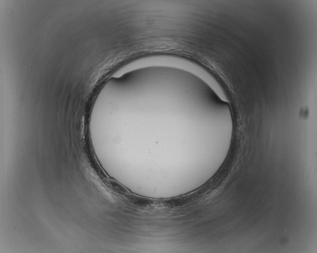 X0000114700589200911181319