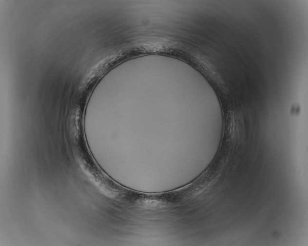 X0000114700590200911181319