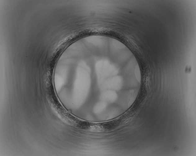 X0000114700591200911181319