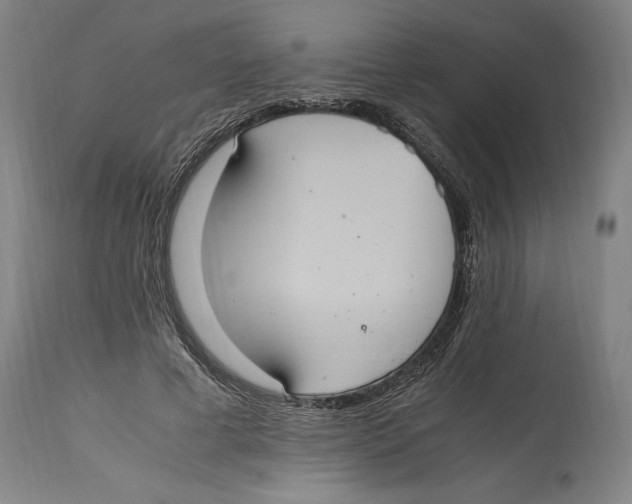 X0000114700593200911181319