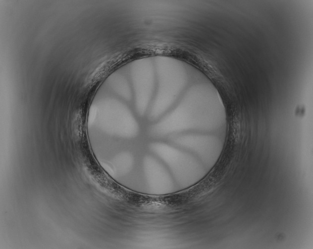 X0000114700594200911181319