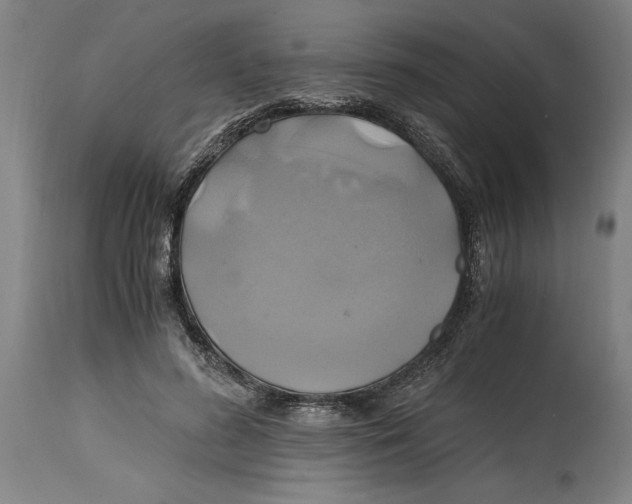 X0000114700596200911181319