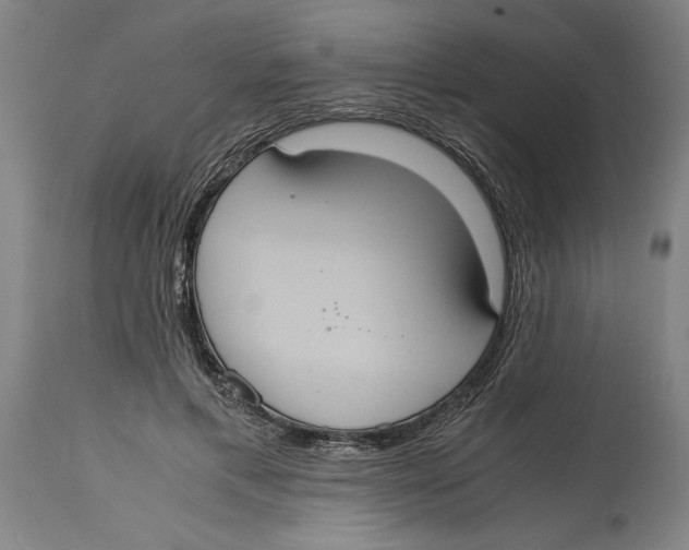 X0000114700597200911181319