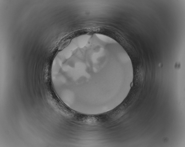 X0000114700600200911181318