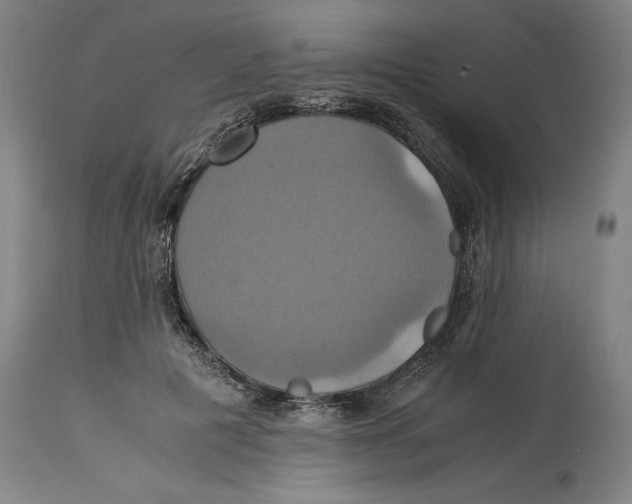 X0000114700601200911181318