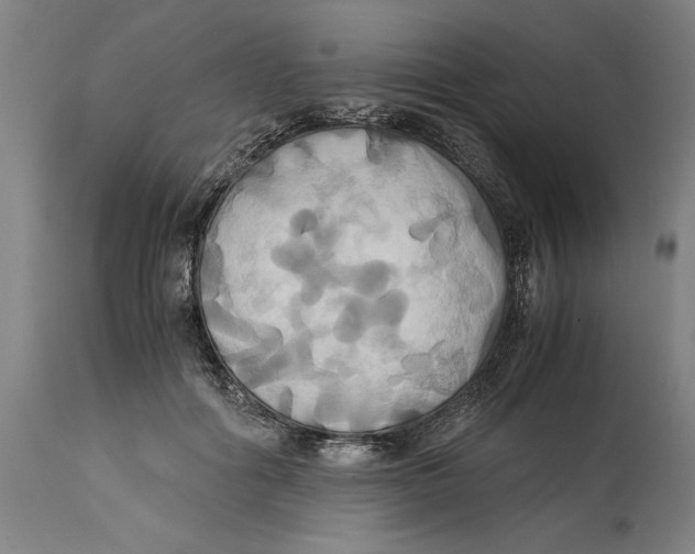 X0000114700602200911181318