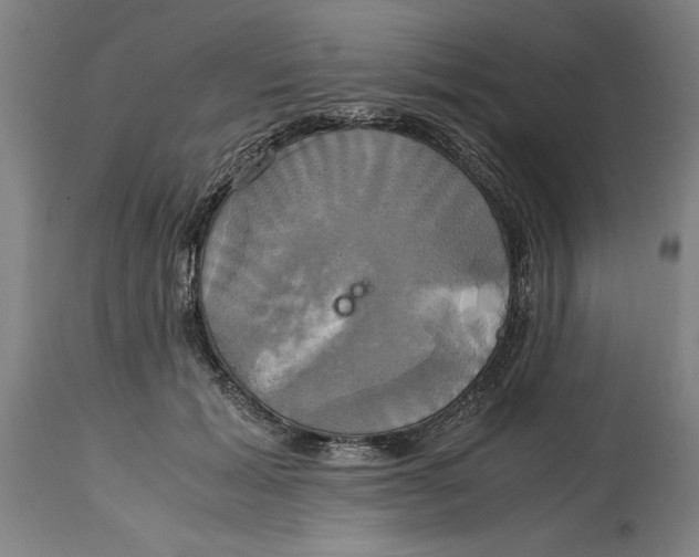 X0000114700605200911181318