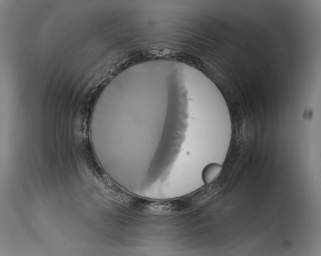 X0000114700606200911181318