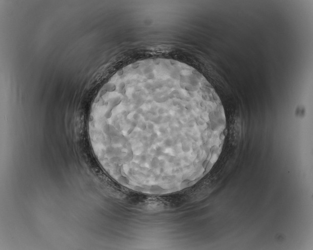 X0000114700608200911181318