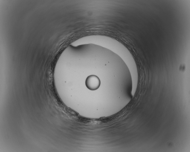 X0000114700609200911181318