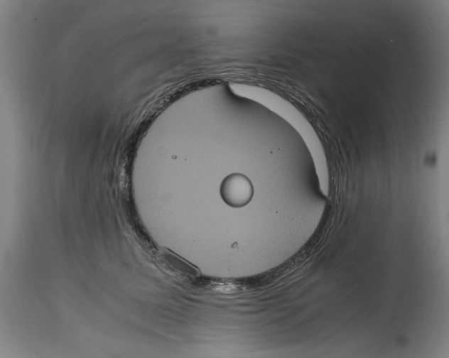 X0000114700611200911181318