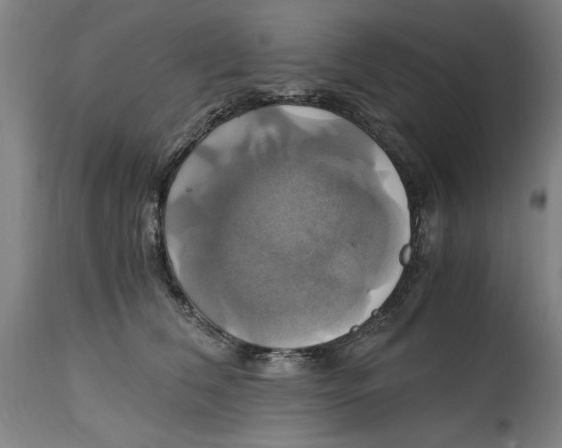 X0000114700612200911181318