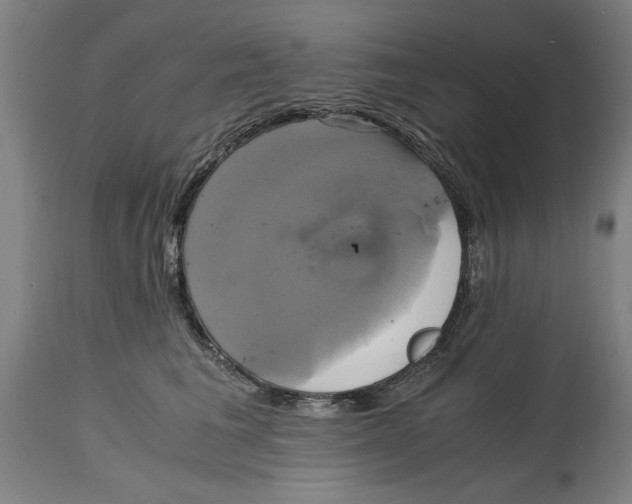 X0000114700613200911181318