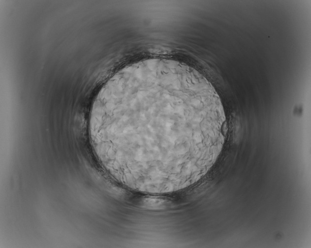 X0000114700614200911181318