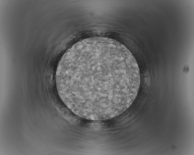 X0000114700615200911181318