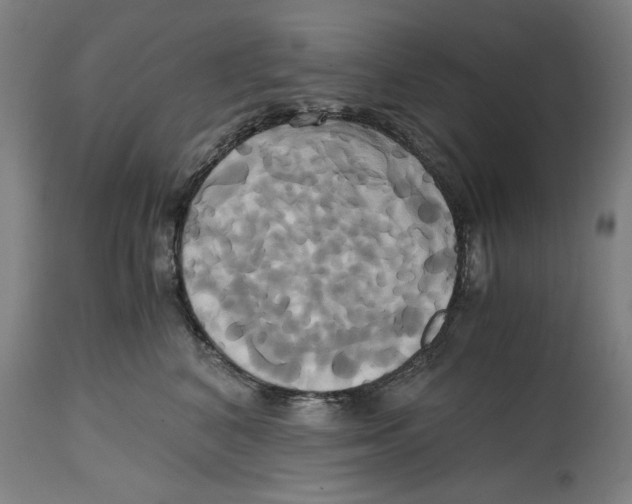 X0000114700616200911181318