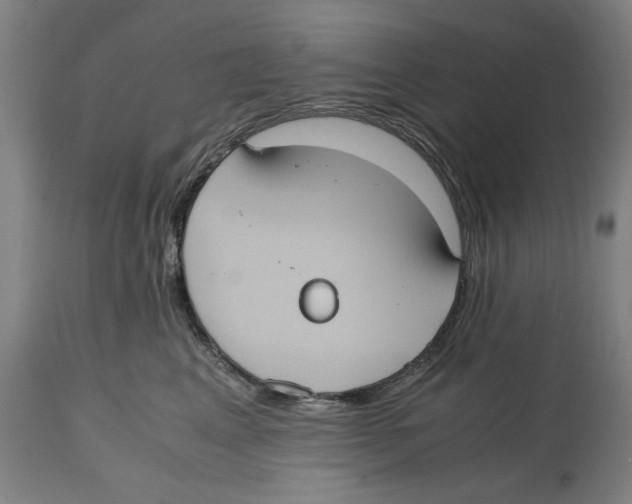 X0000114700617200911181318