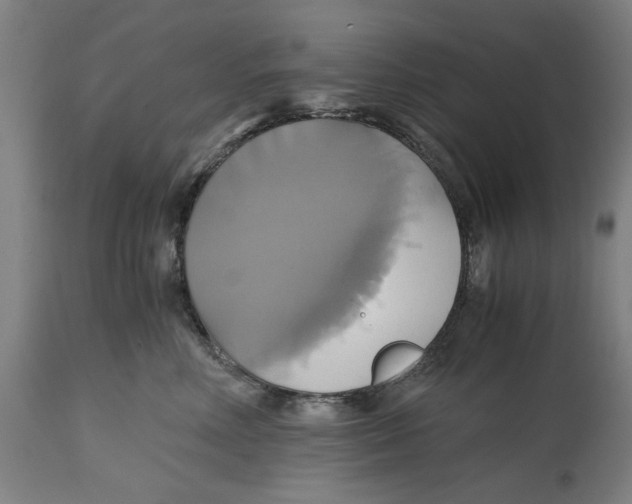 X0000114700618200911181318