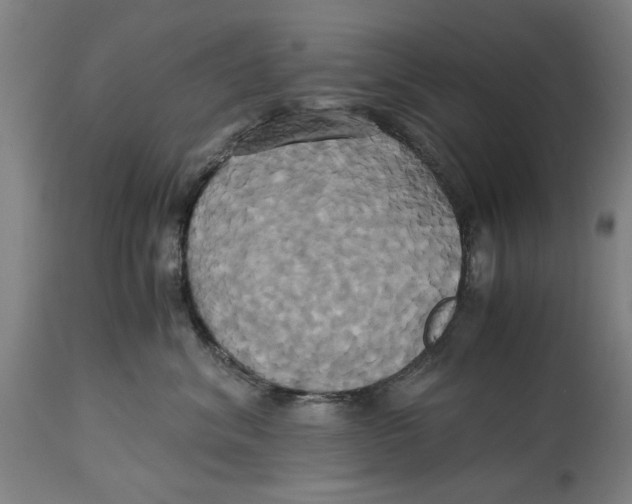 X0000114700620200911181318