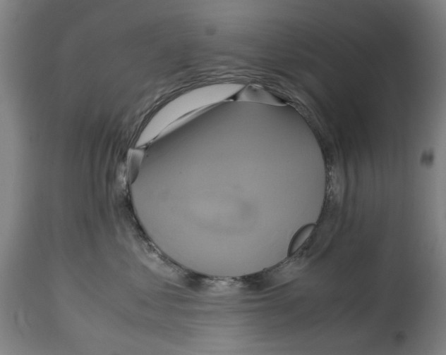 X0000114700621200911181318