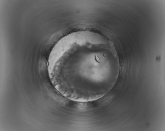 X0000114700623200911181318