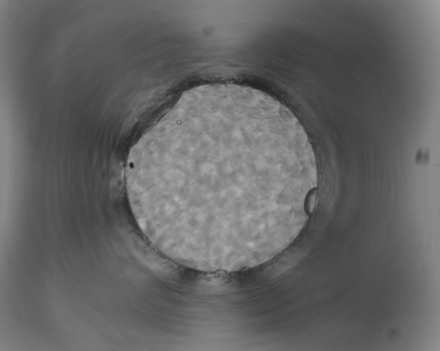 X0000114700624200911181318