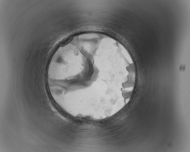 X0000114700625200911181317