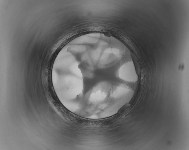 X0000114700626200911181317