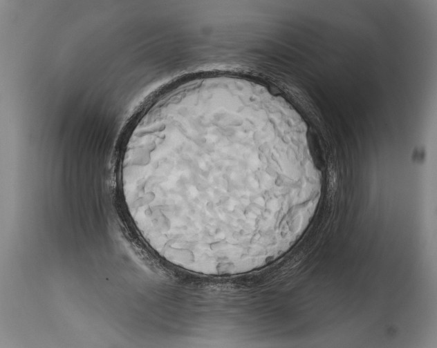 X0000114700628200911181317