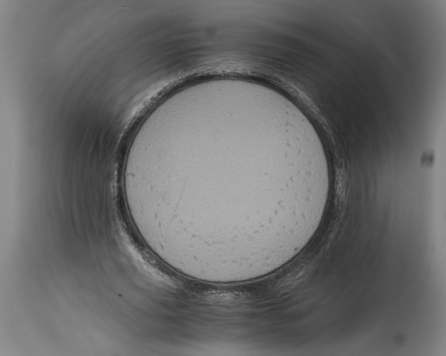 X0000114700629200911181317