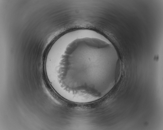 X0000114700630200911181317