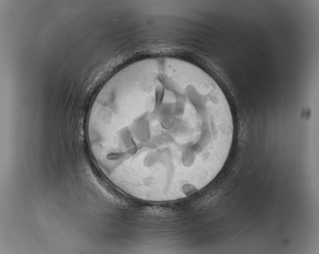 X0000114700633200911181317